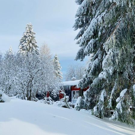 Baude Steinheid Am Rennsteig Mit 12 Betten Buitenkant foto